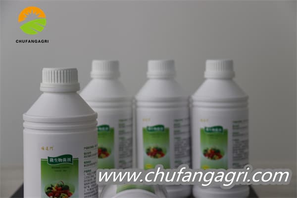 Chufangagri Bacillus amyloliticus(BAA)