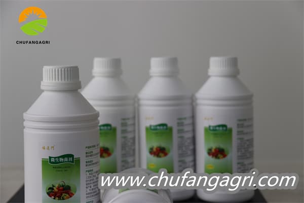 Chufangagri XMD Bacillus amyloliquefaciens (TKJ)