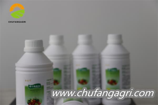 Bacillus amyloliticus(BAA)