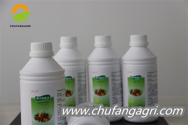 Chufangagri Bacillus amyloliticus