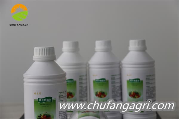 Bacillus amyloliticus(BAA)