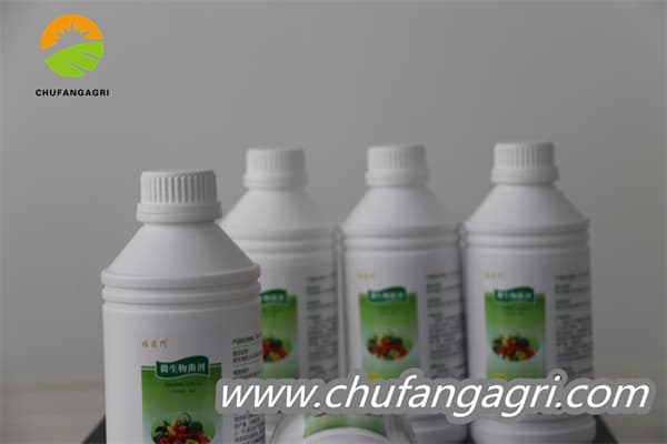 Chufangagri Bacillus amyloliquefaciens (TKJ)
