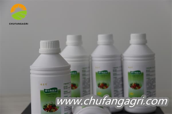 Chufangagri Bacillus amyloliticus(BAA)