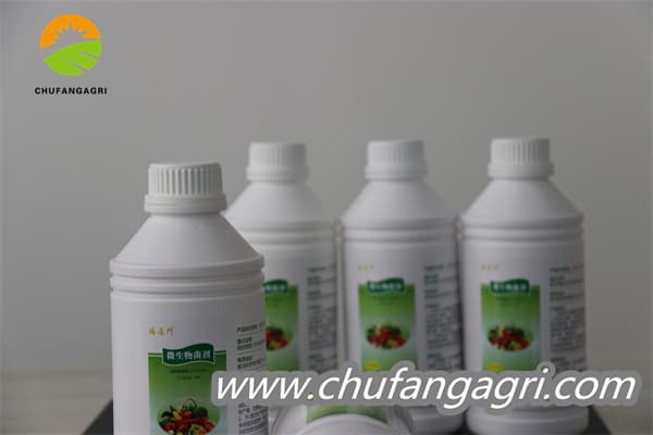 Chufangagri XMD Bacillus amyloliquefaciens (TKJ)