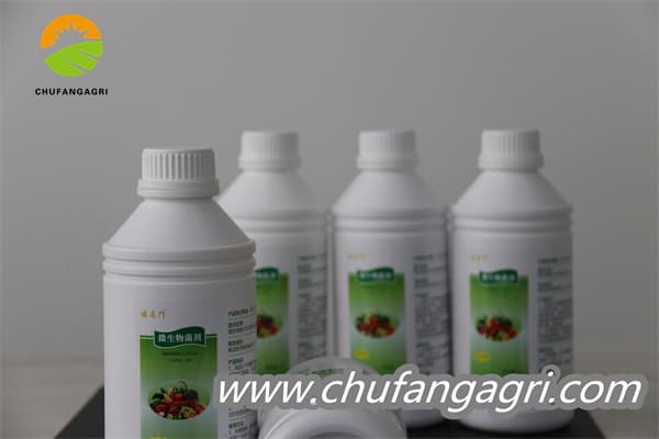 Chufangagri Bacillus amyloliticus