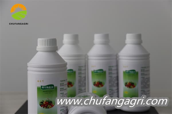 Chufangagri Bacillus amyloliticus(BAA)