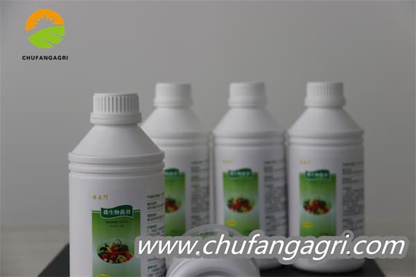 Chufangagri XMD Bacillus amyloliquefaciens (TKJ)