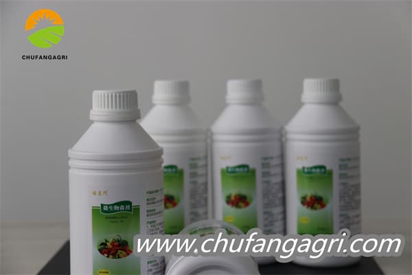 Chufangagri XMD Bacillus amyloliticus