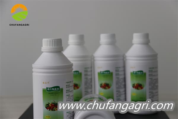 Chufangagri XMD Bacillus amyloliticus(BAA)