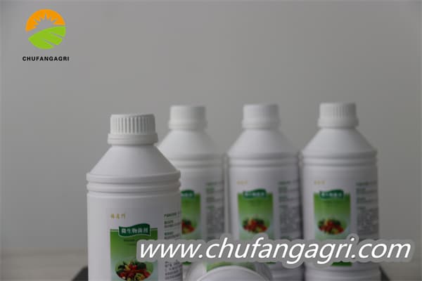 Bacillus amyloliticus(BAA)