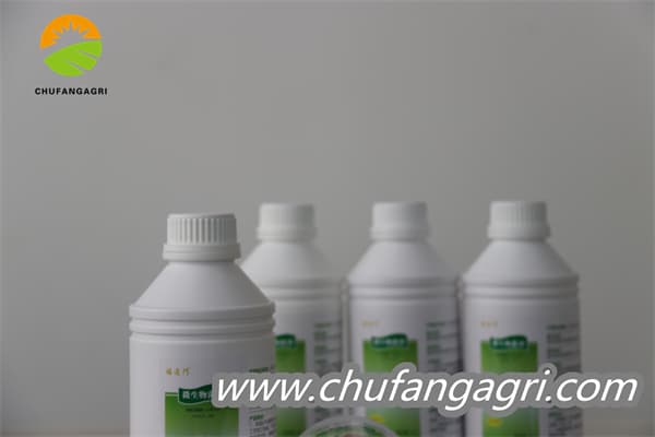 Chufangagri XMD Bacillus amyloliquefaciens (TKJ)