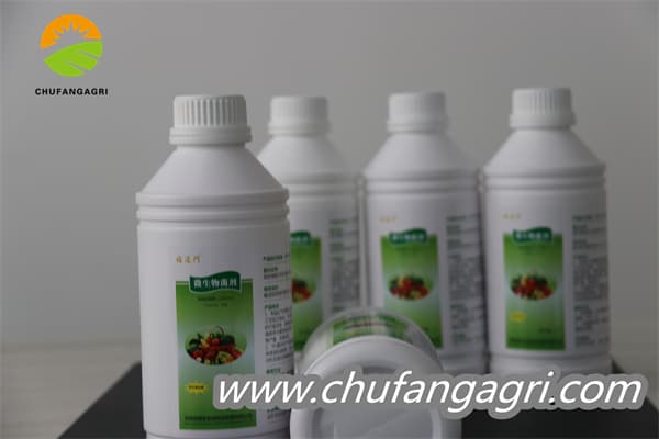 Chufangagri Bacillus amyloliquefaciens (TKJ)