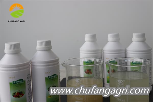 Chufangagri XMD Bacillus amyloliticus(BAA)