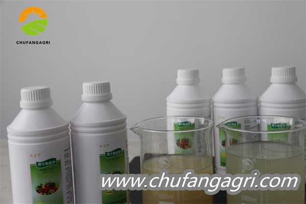 Bacillus amyloliquefaciens (TKJ)
