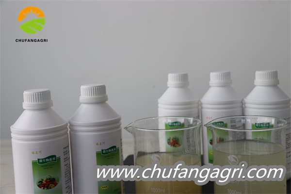 Chufangagri Bacillus amyloliquefaciens (TKJ)