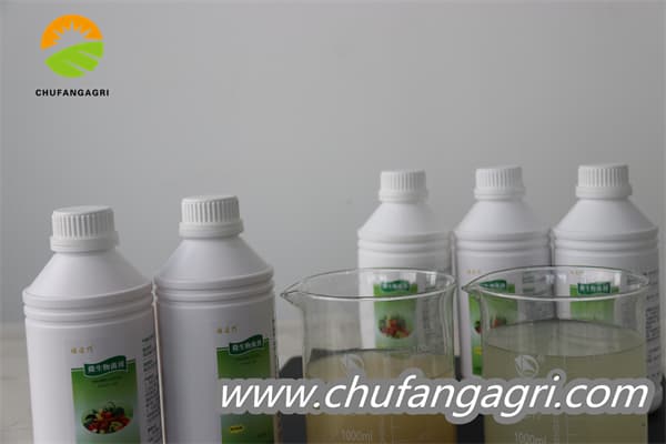 Chufangagri Bacillus amyloliticus