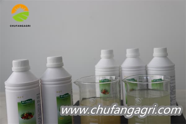 Bacillus amyloliquefaciens (TKJ)