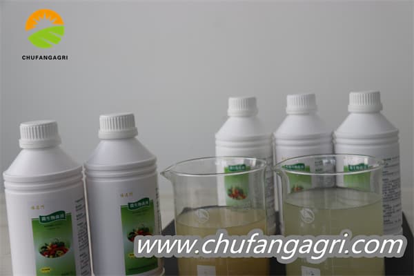 Chufangagri Bacillus amyloliquefaciens (TKJ)