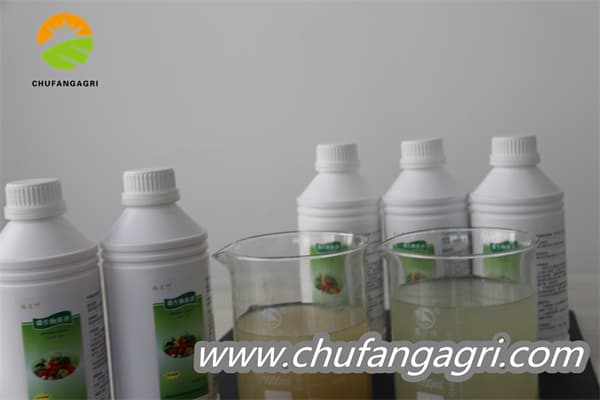 Chufangagri Bacillus amyloliticus