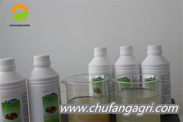 Chufangagri Bacillus amyloliticus(BAA)