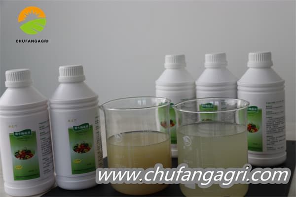 XMD Bacillus amyloliticus(TKJ)