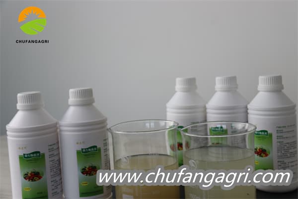 XMD Microbial agent