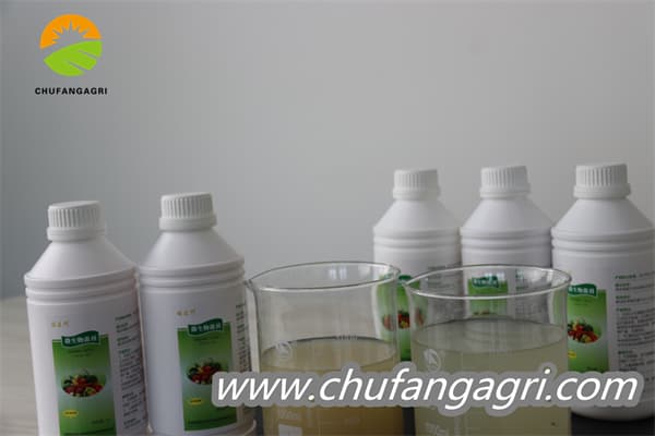 Chufangagri Bacillus amyloliticus(BAA)
