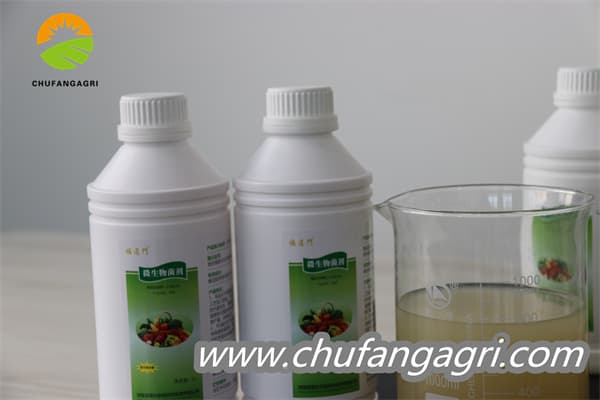 Chufangagri XMD Bacillus amyloliticus