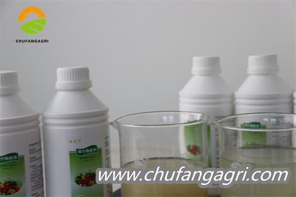 Chufangagri Bacillus amyloliquefaciens (TKJ)