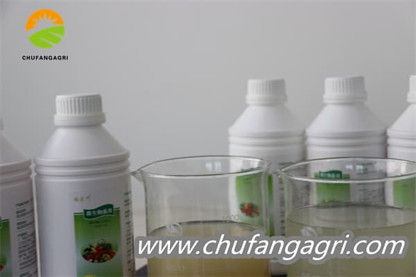 Chufangagri Bacillus amyloliticus