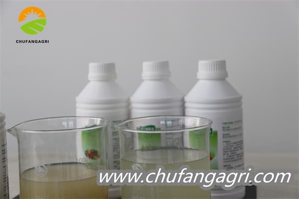 Bacillus amyloliquefaciens (TKJ)