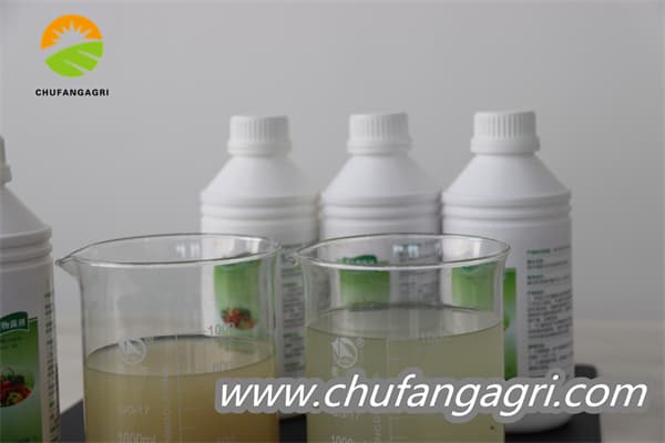 Chufangagri Bacillus amyloliquefaciens (TKJ)