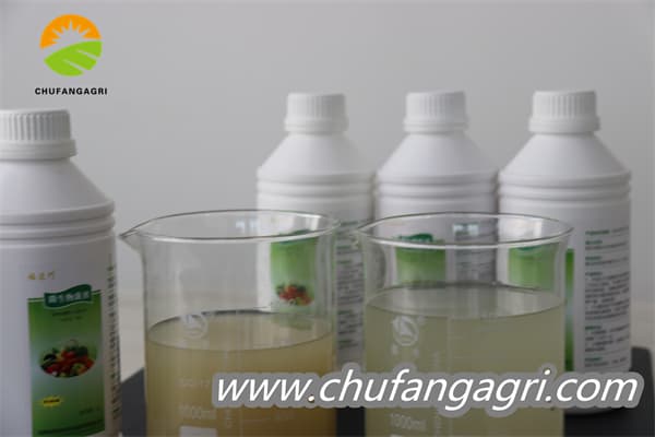 Chufangagri Bacillus amyloliticus(BAA)