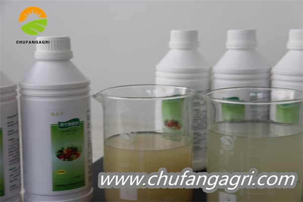 Chufangagri XMD Bacillus amyloliticus