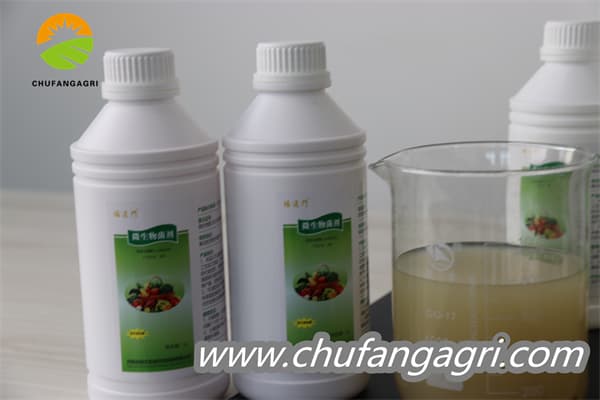 Bacillus amyloliquefaciens (TKJ)