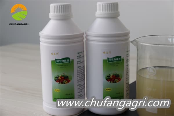 Chufangagri XMD Bacillus amyloliquefaciens (TKJ)