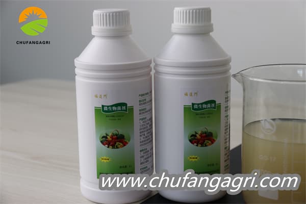 Chufangagri XMD Bacillus amyloliticus