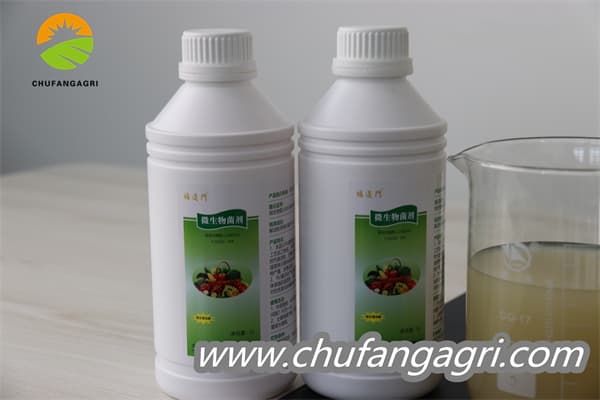 Chufangagri XMD Bacillus amyloliticus(BAA)