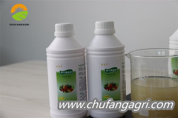 Chufangagri Bacillus amyloliquefaciens (TKJ)
