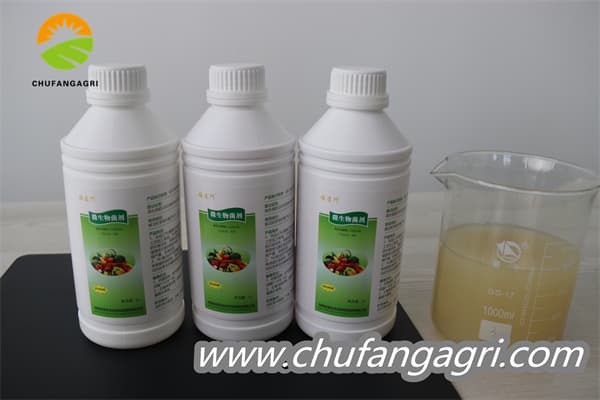 Chufangagri XMD Bacillus amyloliticus(BAA)