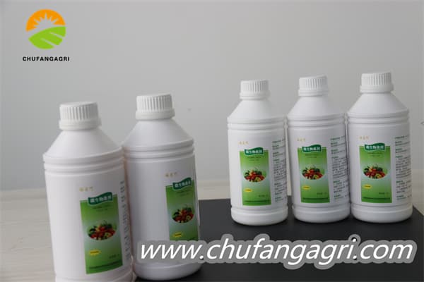 Bacillus amyloliticus(BAA)