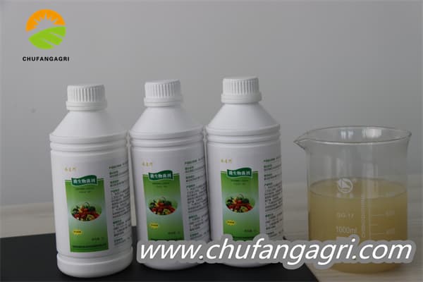 Chufangagri XMD Bacillus amyloliquefaciens (TKJ)