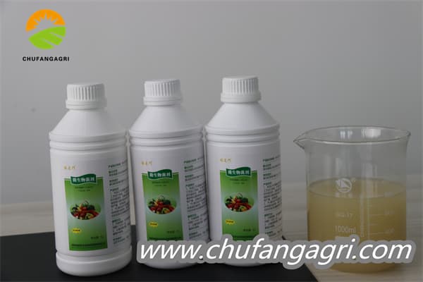 Chufangagri XMD Bacillus amyloliticus