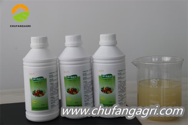 Chufangagri XMD Bacillus amyloliticus(BAA)