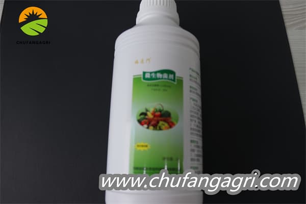 XMD Bacillus amyloliticus(TKJ)