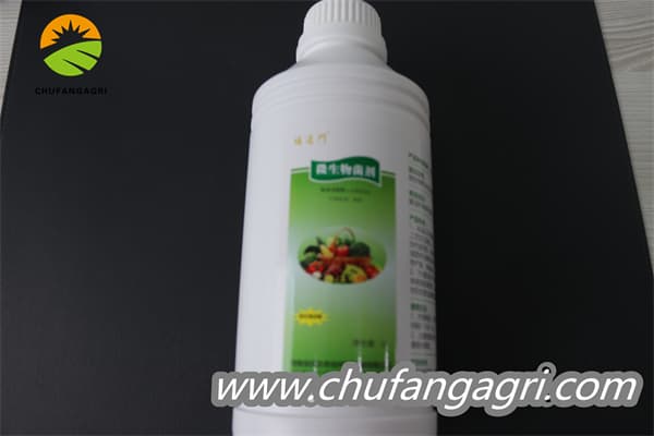 Bacillus amyloliquefaciens (TKJ)