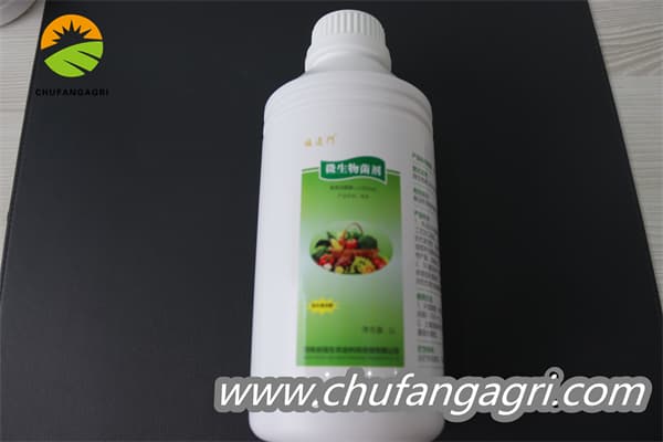 Chufangagri Bacillus amyloliticus