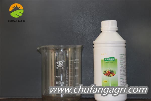 Chufangagri XMD Bacillus amyloliticus(BAA)
