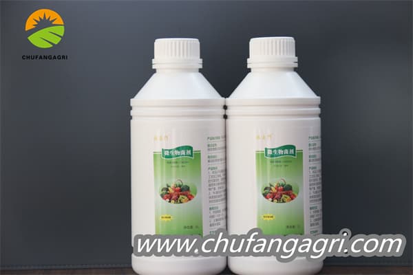 Chufangagri Bacillus amyloliticus