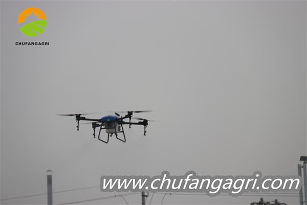 Drones for locust control